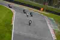 brands-hatch-photographs;brands-no-limits-trackday;cadwell-trackday-photographs;enduro-digital-images;event-digital-images;eventdigitalimages;no-limits-trackdays;peter-wileman-photography;racing-digital-images;trackday-digital-images;trackday-photos